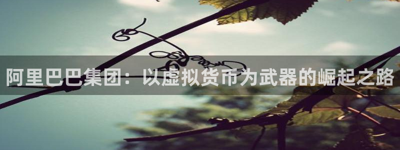 阿里巴巴集团：以虚拟货币为武器的崛起之路