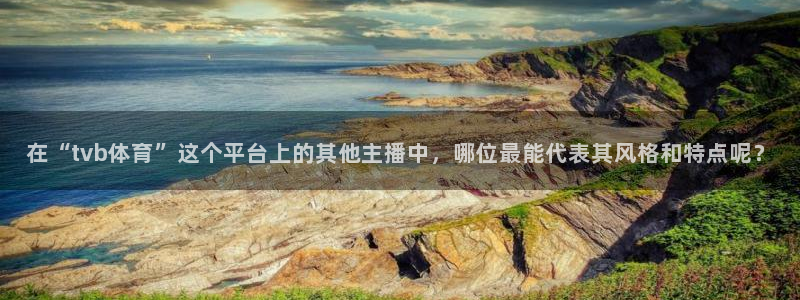 在“tvb体育”这个平台上的其他主播中，哪位最能代表其风格和特点呢？