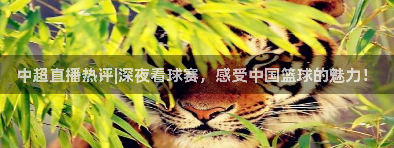 中超直播热评|深夜看球赛，感受中国篮球的魅力！