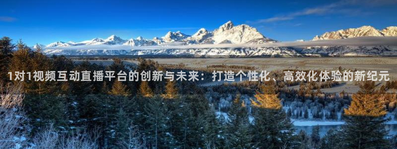 1对1视频互动直播平台的创新与未来：打造个性化、高效化体验的新纪元